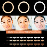 Wholesale-Argom LP-9315BK Selfie Ring Light Spotlight Pro 9315 w/ Table Top Tripod/Phone Holder 8"-Ring Light-Electro Vision Inc