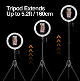 Wholesale-Argom LP-9320BK Spotlight Pro 9320 10" LED Ring Light with Full Tripod-Ring Light-Electro Vision Inc