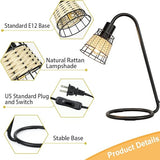 Wholesale-Depuley Lamp-WSMNT3440B Industrial Desk Lamp-Electro Vision Inc