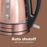 Wholesale-Hamilton Beach 40876 1.7 Liter Glass & Stainless Steel with Copper Finish Kettle-Electric Kettles-Electro Vision Inc
