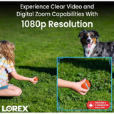 Wholesale-LorexD24281b 8-Channel DVR 1TB Hard Drive Security Camera System-Electro Vision Inc