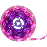 Wholesale-Monster MLB72049RGB - Sound Reactive RGB+W LED Light Strip w/ IR Remote, 12V Power Adapter, 32.8ft/10m-LED Light-Electro Vision Inc