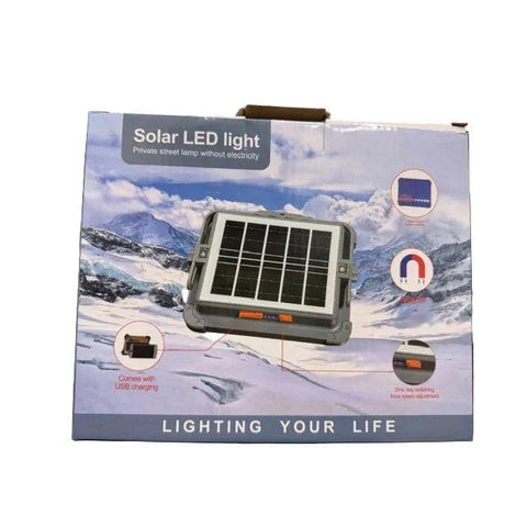 Wholesale-Solar IP66 LED Light-Light-Electro Vision Inc