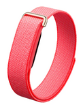 Google Fitbit Air Berry, GA11016-US