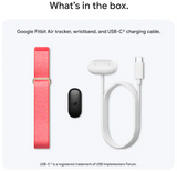 Google Fitbit Air Berry, GA11016-US