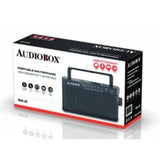 Wholesale-AUDIOBOX RX6 PORTABLE RADIO-Radio-Electro Vision Inc